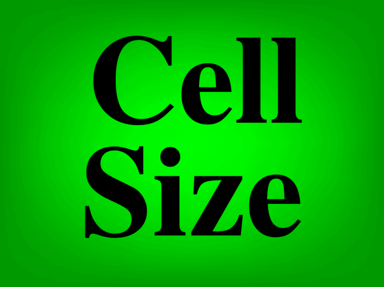 how-to-change-cell-size-in-google-sheets-featured-image-spreadsheet-class