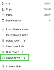 Example of the Resize rows option after right clicking on a selected row in Google Sheets