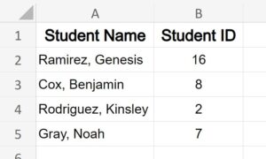 Example of How to autofit column width in Microsoft Excel after using double click method to make the cells fit the text