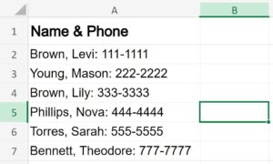 Example of Fitting cell width to text in Microsoft Excel part 2 data after adjustment